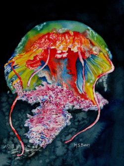 jellyfish-2-maria-barry