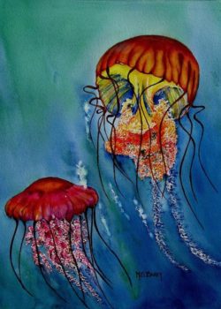 jellyfish-maria-barry