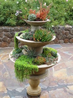 succulent-fountain
