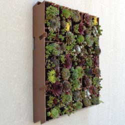 vertical-planter-plastic-living-wall-20x20-planted__76487.1464827315