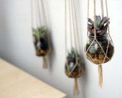 DIY-Hanging-Succulent-Planters