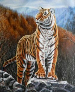 Hand-Painted-Animal-Oil-Painting-On-Canvas-Tiger-Home-Decoration-Wall-Art-Wholesale-Free-Shipping.jpg_640x640