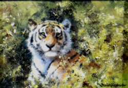 davidshepherd-original-painting-tiger-large