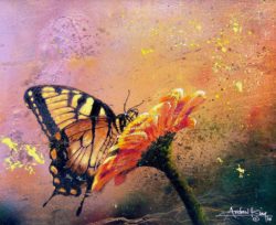 dbf0f09aa9b78cdc83cf3087140433ac--butterfly-painting-butterfly-art