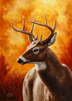 e60f8732075145cb0ba90fa71c68a57a--deer-paintings-oil-paintings-for-sale