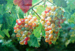 free-shipping-classical-grapevine-scenery-oil-painting-fruit-grapes-canvas-printings-on-canvas-home-wall-art
