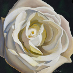 mini-white-rose