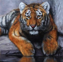 tiger-painting-5