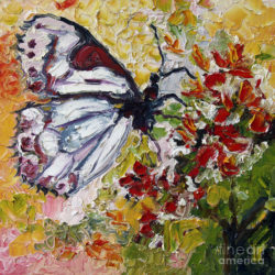 white-butterfly-impressionist-oil-painting-ginette-callaway