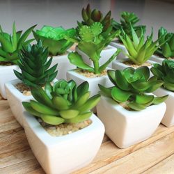 HOT-SALE-12pcs-set-Mini-Artificial-Potted-Succulent-Plant-Windowsill-Decoration-Plant-in-ceramic-pot-home