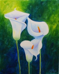 calla-lilies-emily-page