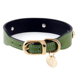 leather-dog-collar-regency-limegreen2