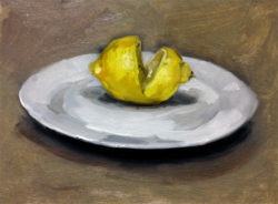 lemon-still-life-helen-davison