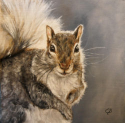 squirrel-elizabeth-barrett