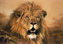 Free-shipping-Handmade-Lion-oil-paintings-On-Canvas-Modern-Abstract-art-painting-Decorative-Big-Animals-painting.jpg_640x640