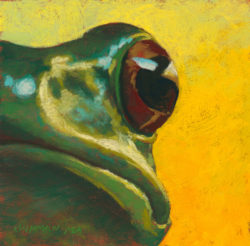 Frog-#16-(The-Frog-Prince)