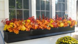 autumn-window-box-fall-leaves-pumpkins-1024x584