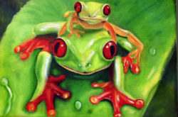 frog-rodeo-darlene-richardson