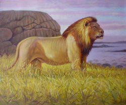 lion_002