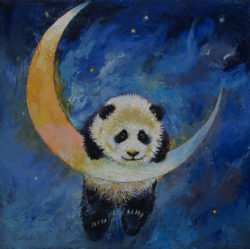 panda-stars-michael-creese