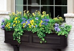 15-were-central-window-decoration-and-gardening-ideas-flower-box-7-204