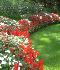 2449acce4bc942668c069502888aed5d--flower-bed-borders-flower-beds