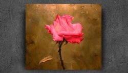 Single-flowers-can-painting-wall-pictures-for-bedroom-30x40cm-40x50cm-50x65cm-60x75cm-unframed-canvas-painting-oil