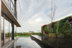 Vertical-Garden-Design-in-Valna-House-Design-by-JSa-Architecture-
