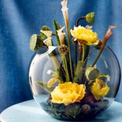 decorating-ideas-marvelous-picture-of-diy-unique-yellow-flower-centerpiece-along-with-round-bowl-glass-flower-vase-for-dining-table-and-yellow-wedding-table-design-and-decoration-ideas-goo
