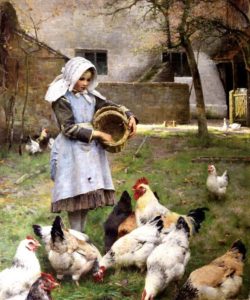 garota-alimentando-galinhas-1885-pintor-osborne-tela-repro-D_NQ_NP_16012-MLB20113675975_062014-F