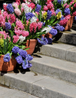 12flower-pots-on-stairs