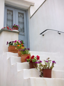 13flower-pots-on-stairs