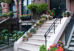 14flower-pots-on-stairs