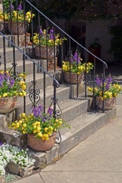 19flower-pots-on-stairs