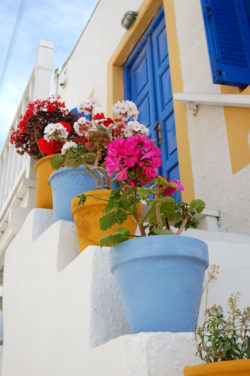 32flower-pots-on-stairs