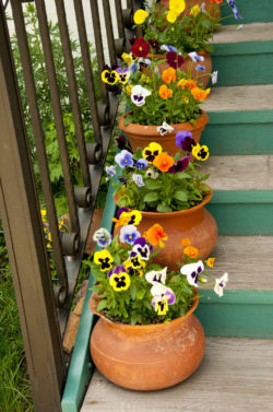 39flower-pots-on-stairs