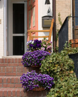 4flower-pots-on-stairs