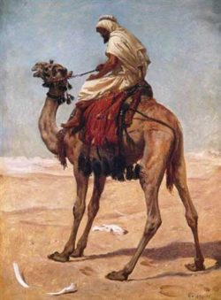 Arab-scout-on-a-camel