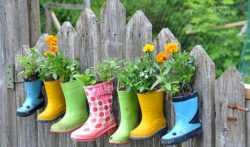 Hanging-Garden-Boots