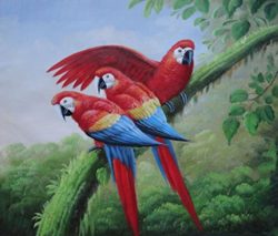 Oil-Painting-20x24-Three-Red-and-Blue-Macaw-Parrots-on-Tree-Animal-Naturalism-BeyondDream-Art-0