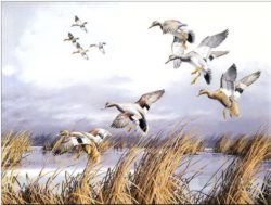 7-birds-flying-on-lake