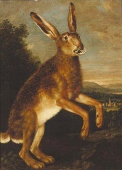 A-Prancing-Hare,-With-A-Town-Beyond