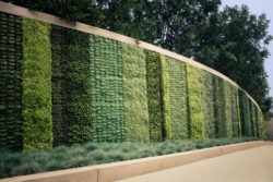 contemporary-green-vertical-wall-garden-patio
