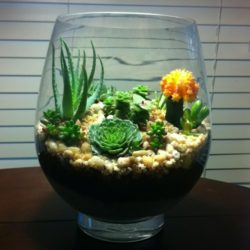 glass-terrarium-bowls-for-plants-modern-design-cool-terrarium-for-decorated-indoor-on-tabletop-Deer-Terrarium-succulent