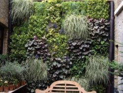 vertical-wall-garden-ideas-34-best-living-wall-shade-loving-plants-for-vertical-planting
