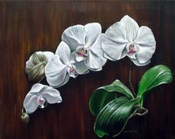 white-orchids-ii-joan-garcia