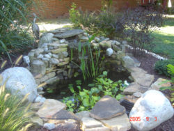 yard-pond-ideas-for-your-beautiful-and-relaxing-home-cncloans