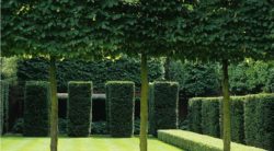 82b6079afb903d186829d8f4aff1049f--laurel-hedge-contemporary-gardens