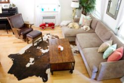 Cowhide-Rug-With-Leather-Couch-For-Small-Living-Room-Arrangement-Ideas