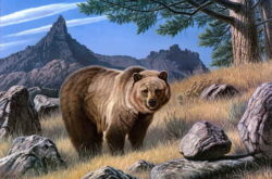 Free-shipping-Animal-Bear-Art-Forest-Scenery-Oil-Painting-Picture-Printed-On-Canvas-Home-Decoration.jpg_640x640